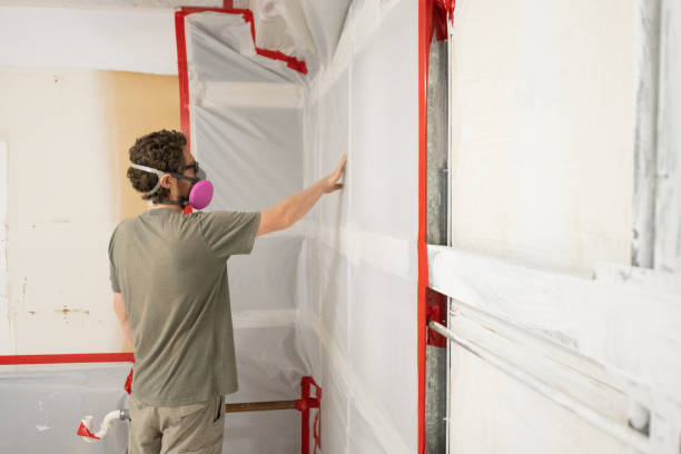 Best Mold Prevention Services  in Shongopovi, AZ