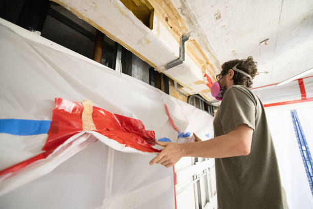Best Mold Removal for HVAC Installations  in Shongopovi, AZ