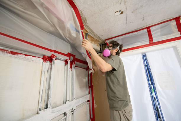 Best Asbestos and Lead Testing During Mold Inspection  in Shongopovi, AZ