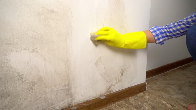 Best Asbestos and Lead Testing During Mold Inspection  in Shongopovi, AZ