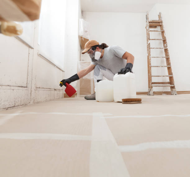 Mold Remediation for Rental Properties in Shongopovi, AZ